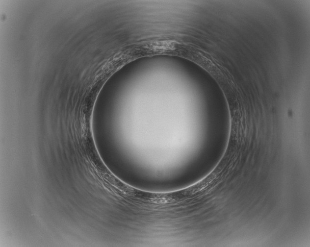 X0000054410704200508011322