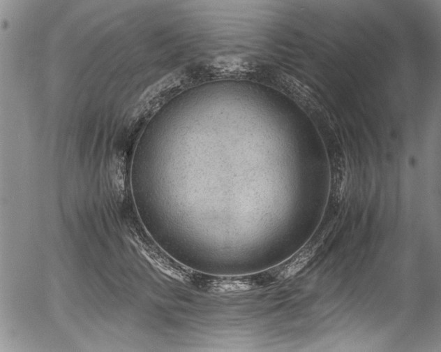 X0000054410710200508011322