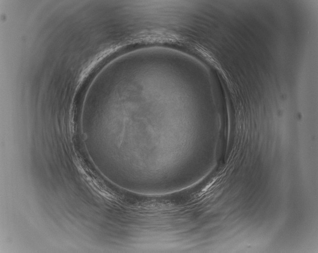 X0000054410722200508011321