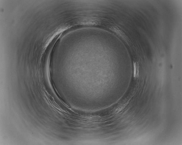 X0000054410723200508011321