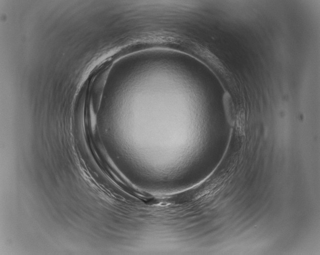 X0000054410724200508011321
