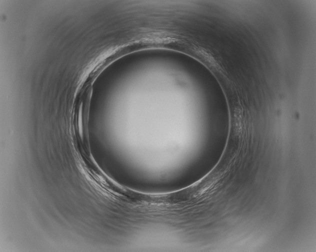X0000054410726200508011321