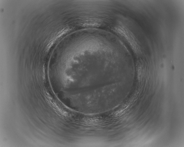 X0000054410729200508011321