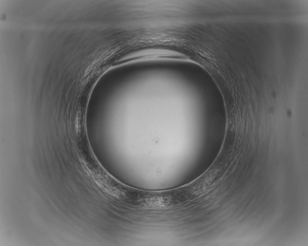 X0000054410740200508011321