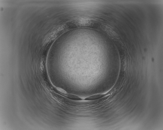 X0000054410746200508011321