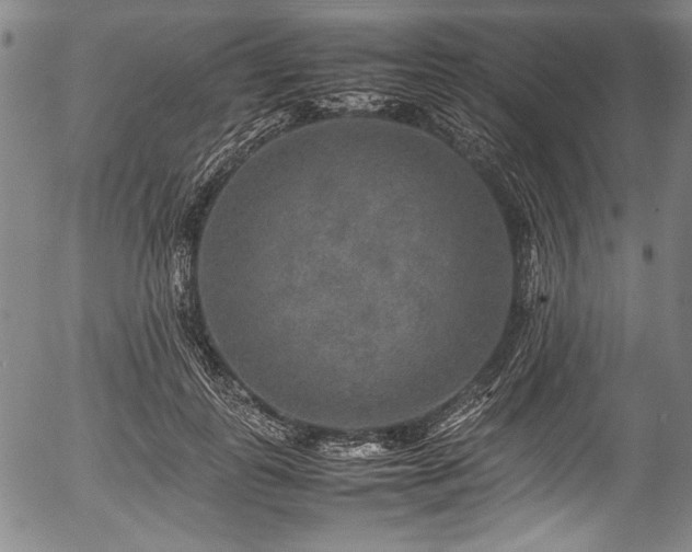 X0000054410747200508011321