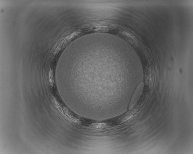 X0000054410748200508011321