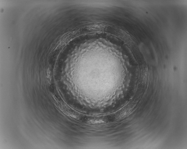 X0000054410749200508011321
