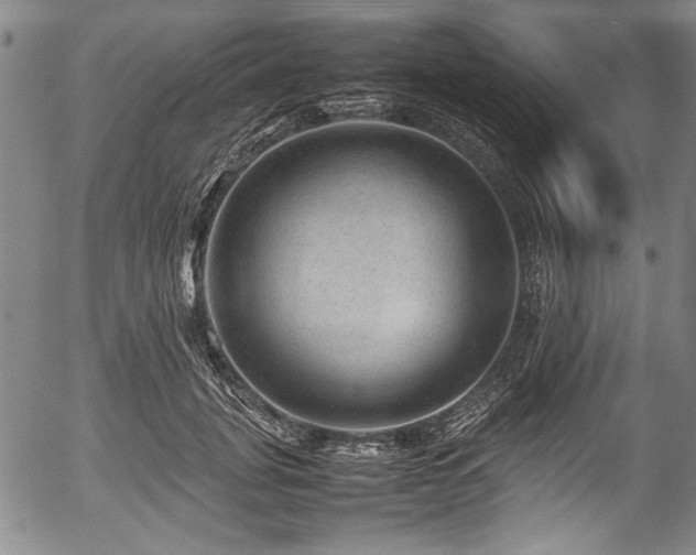 X0000054410751200508011322