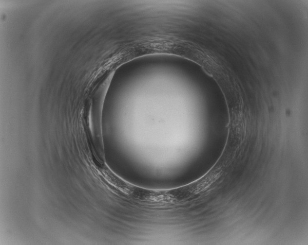 X0000054410752200508011322