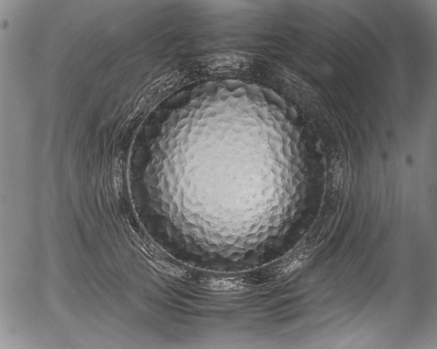 X0000054410753200508011322