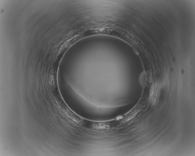 X0000054410754200508011322