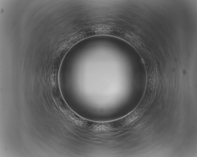 X0000054410755200508011322