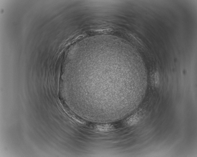 X0000054410757200508011322