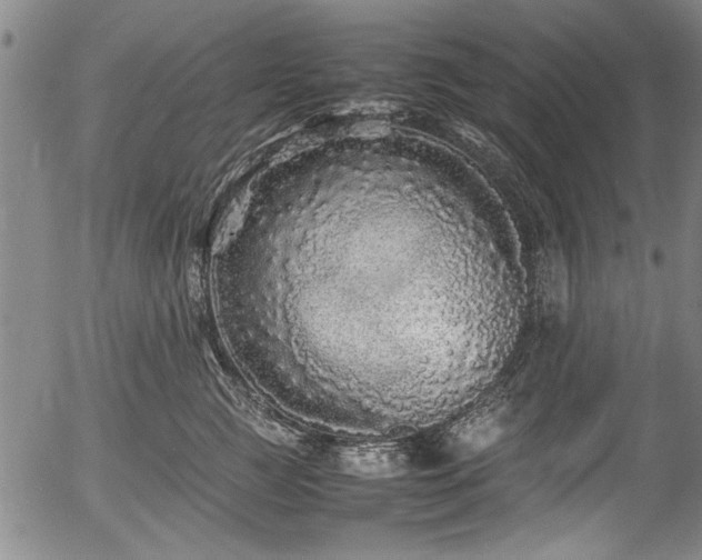 X0000054410761200508011322