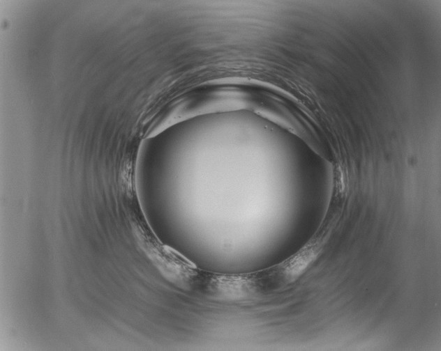 X0000054410766200508011322