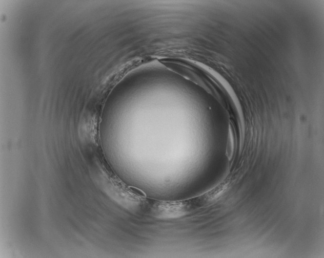 X0000054410767200508011322