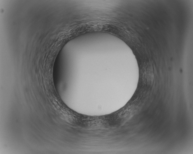 X0000054410769200508011321