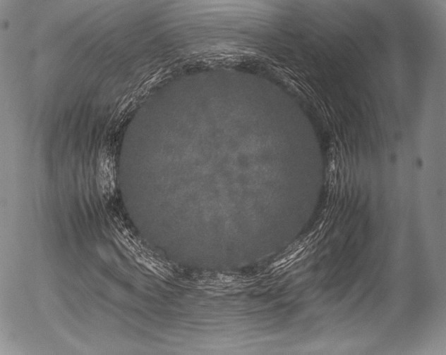 X0000054410772200508011321