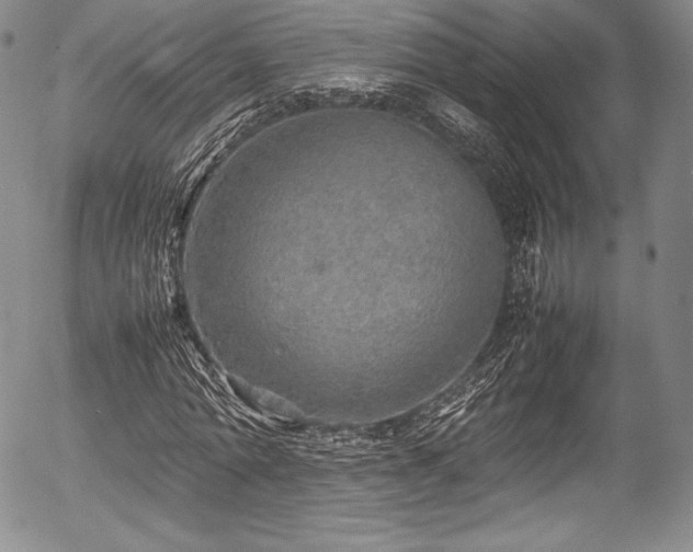 X0000054410774200508011321
