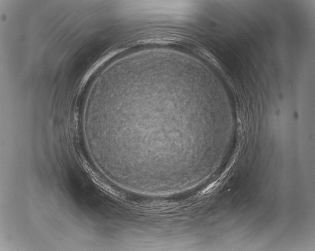 X0000054410779200508011321