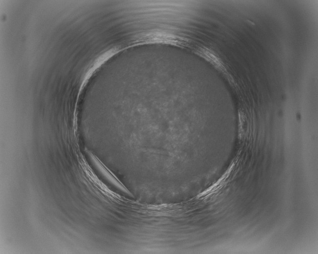 X0000054410780200508011321