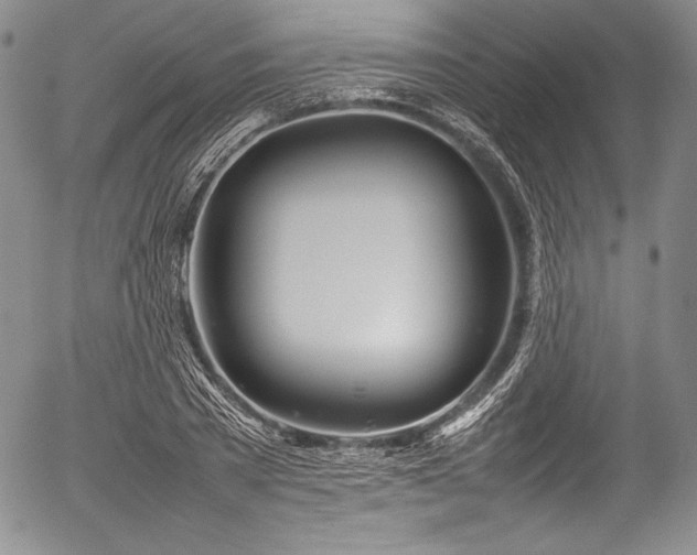 X0000054410785200508011321