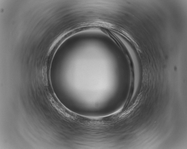 X0000054410788200508011321