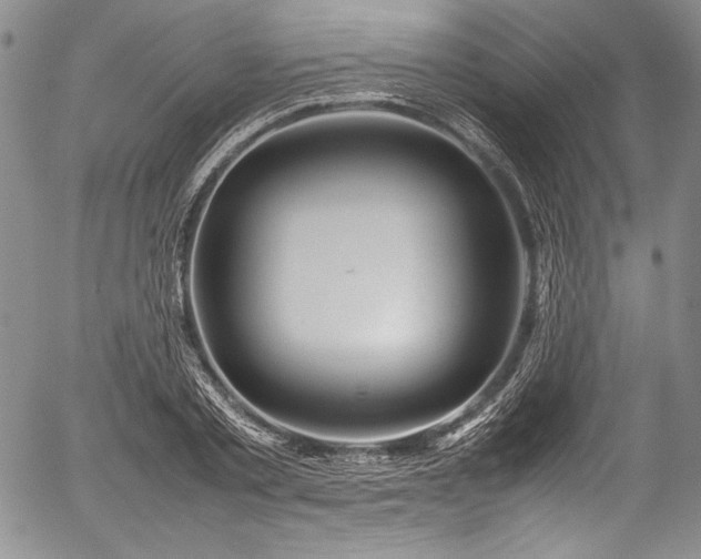 X0000054410789200508011321