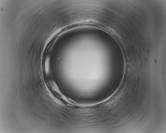 X0000054410792200508011321