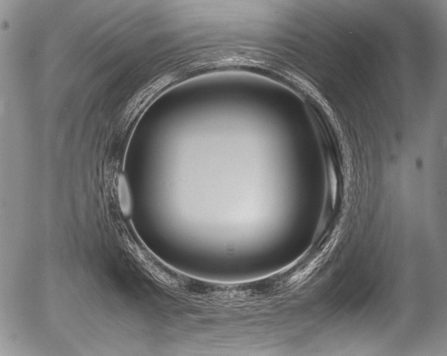 X0000054410793200508011321