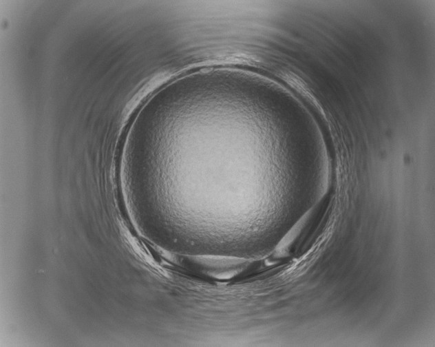 X0000054410797200508011320