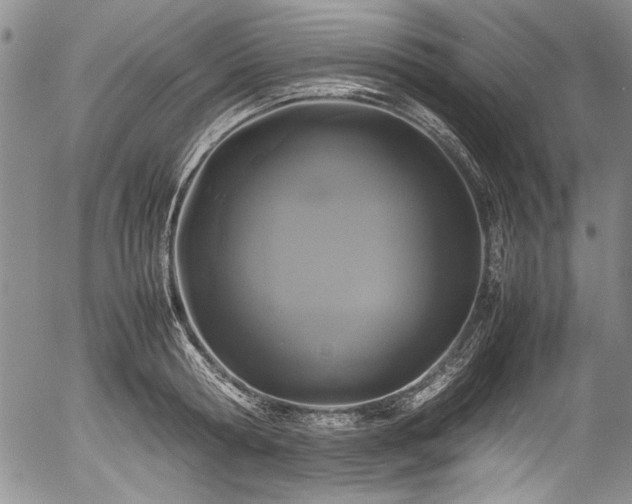 X0000054410802200508011320