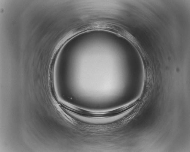 X0000054410803200508011320