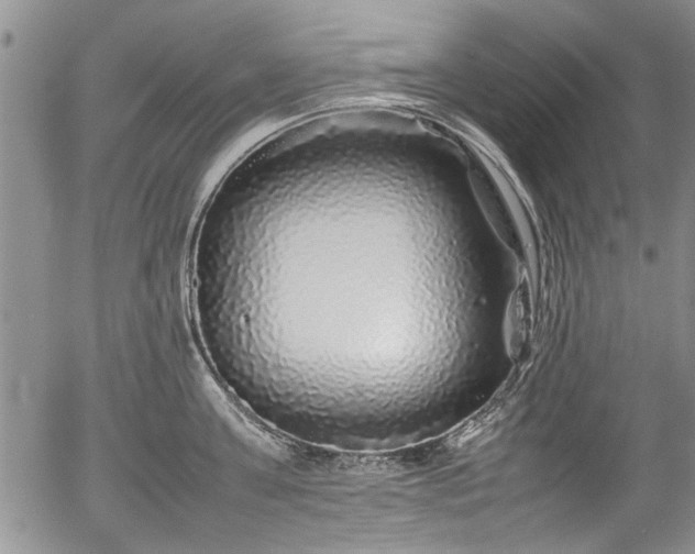 X0000054410811200508011320