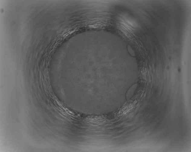 X0000054410817200508011319