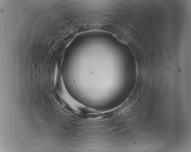 X0000054410818200508011319