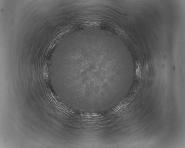 X0000054410819200508011319