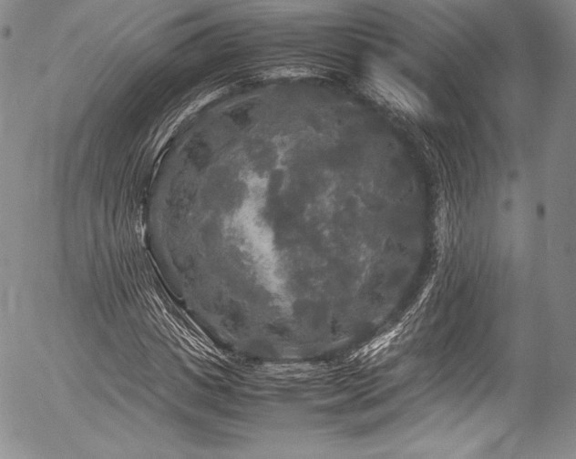 X0000054410825200508011319