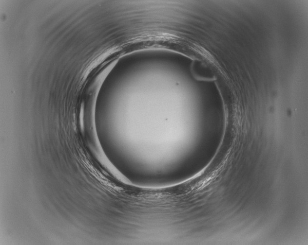 X0000054410826200508011319
