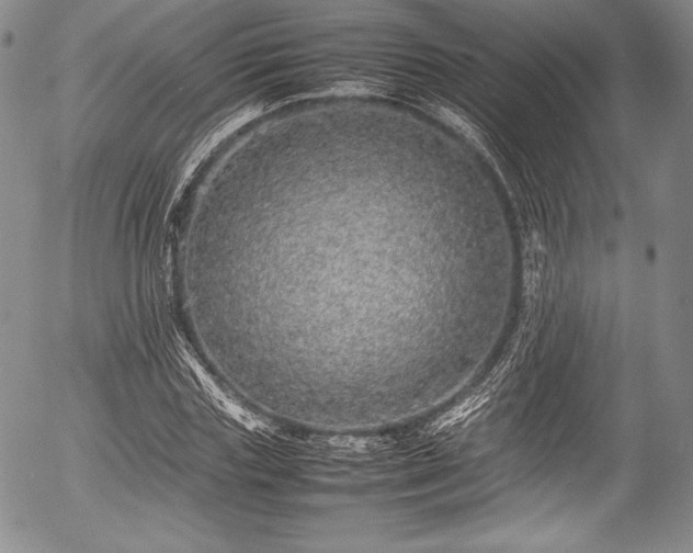 X0000054410827200508011320