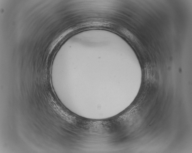 X0000054410828200508011320