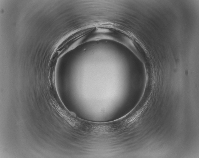 X0000054410830200508011320