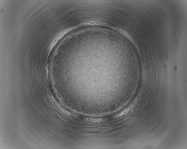 X0000054410831200508011320