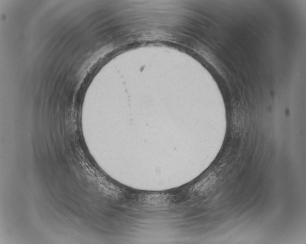 X0000054410832200508011320