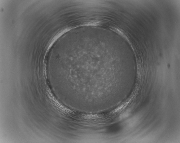 X0000054410835200508011320