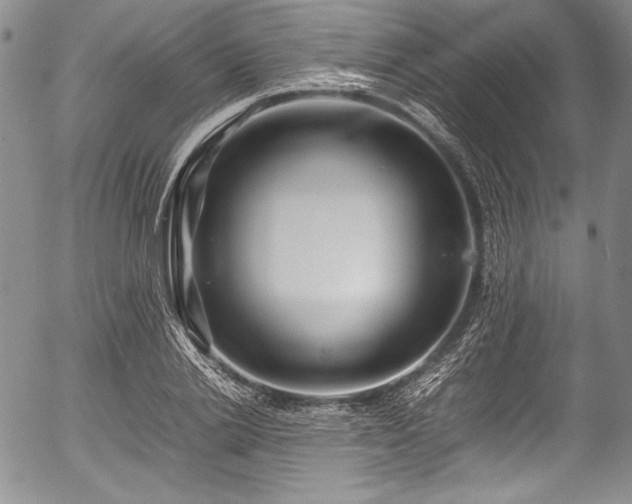 X0000054410838200508011320
