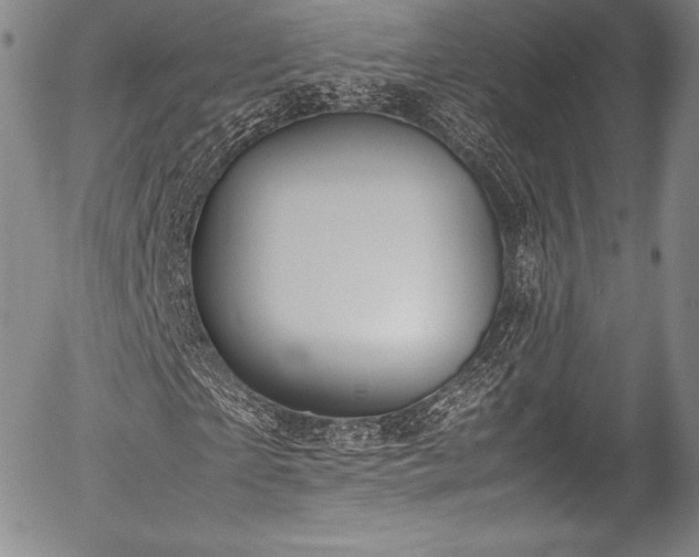 X0000054410865200508011319