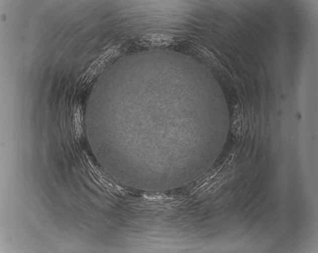 X0000054410866200508011319