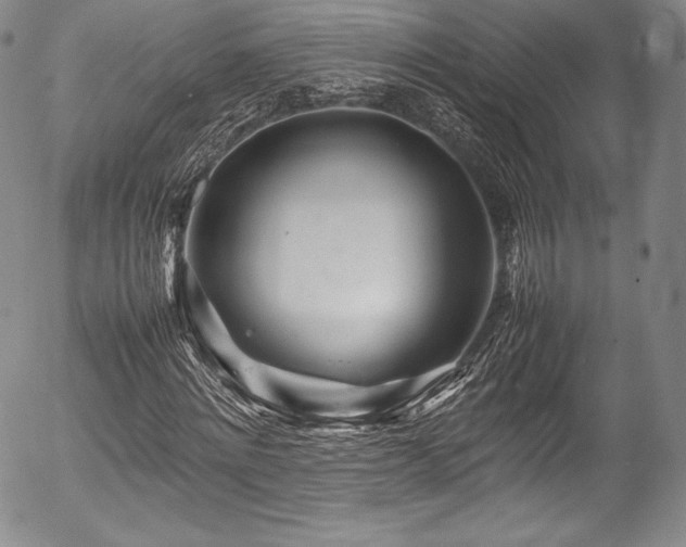 X0000054410868200508011319